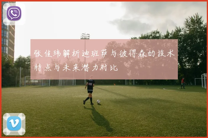 张佳玮解析迪班萨与彼得森的技术特点与未来潜力对比
